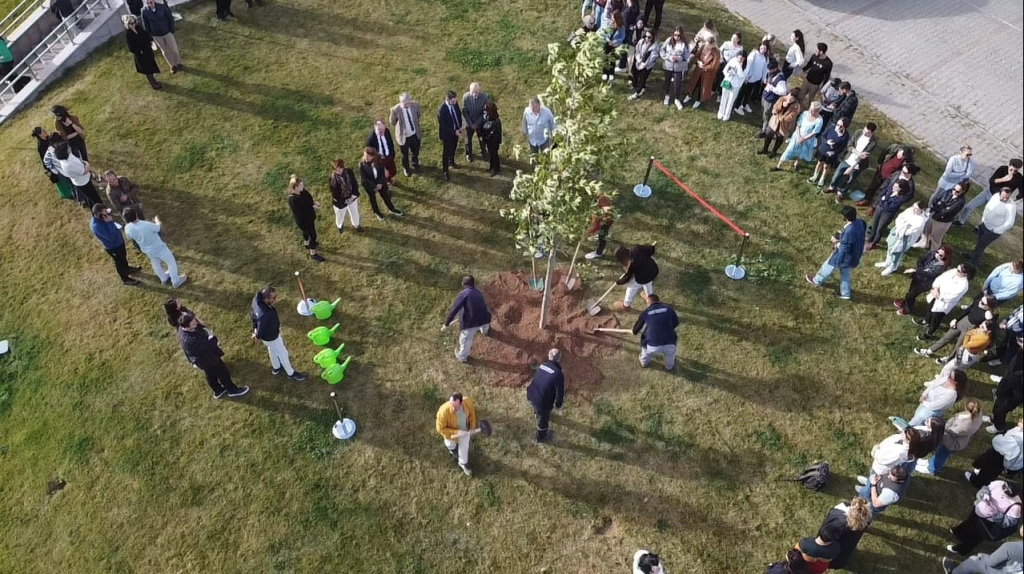 1698395005-Screenshot _14_.png